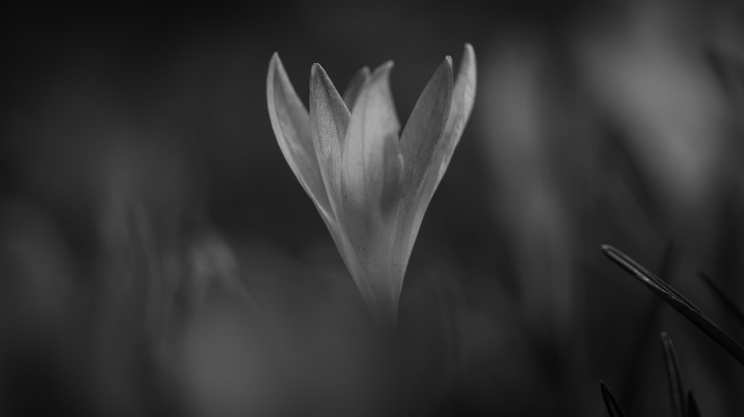 Entscheidungen: Erfolgreich vollstrecken leicht gemacht?